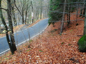 Pohled shora k Horské. Nebude to nic jednoduchého