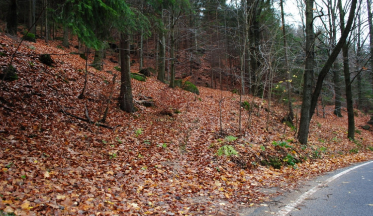 Tudy nahoru má silnice vést