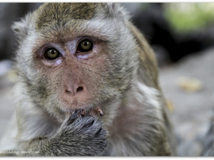 Transcending-Travel.com