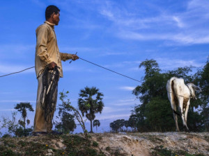 Transcending-Travel.com