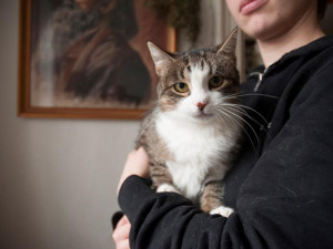 Jahoda - Žila na ulici i se svými mláďaty. K dočaskářovi se dostala nemocná, ale teď už je v pohodě. Je plašanka, ale na nového páníčka si určitě zvykne.