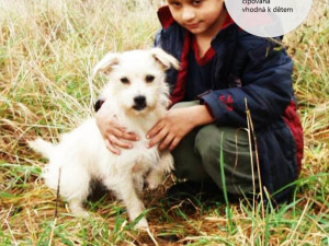 Lizzie - od rodiny už musela dvakrát, tak snad do třetice se to už povede. Nedělají jí problém cizí psi, je čistotná a hravá.