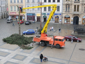Likvidace vánočního stromu