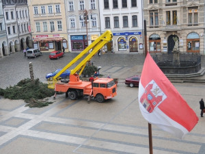 Likvidace vánočního stromu