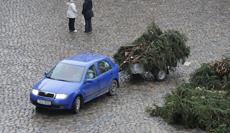 Likvidace vánočního stromu
