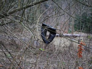 Duše při pohledu krvácí, duše visí ve větvích náletových dřevin