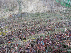 Tohle místo připomíná velkou skalku