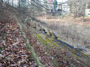 Příroda pomalu stavbu pohlcuje