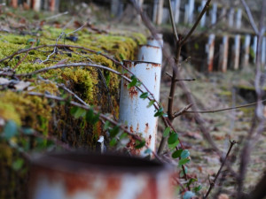 Do trubek se uchytila střešní konstrukce