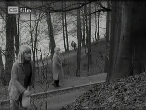 Nejprve jsem myslel, že to je Jezírko..