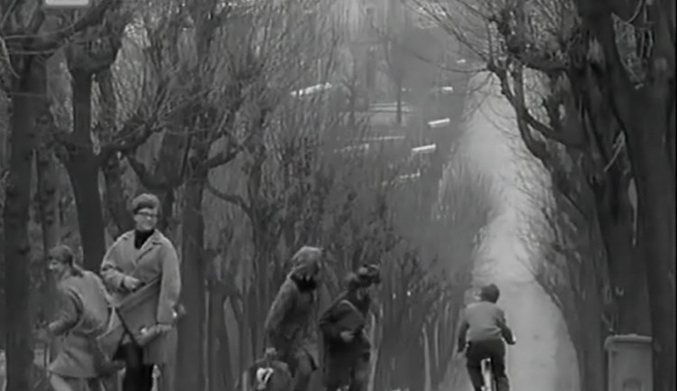 Ponáte? Ano, Vítězná uilce od Husovky