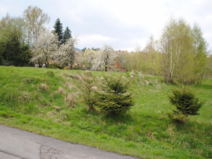 3. Dálniční těleso od zahrádek směrem do Karlova