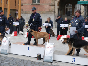 Tři nejlepší vyhledávači tabáku.