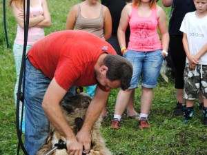 Střihač v akci. Pot jen stříká o zádech raději nemuvit