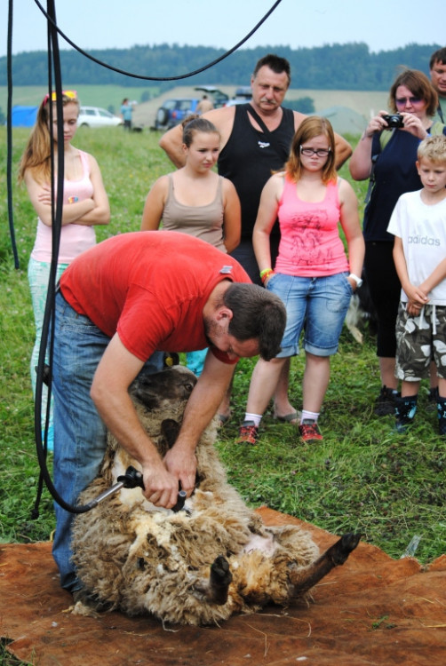 Střihač v akci. Pot jen stříká o zádech raději nemuvit
