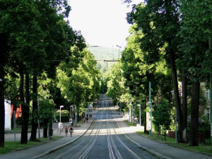 Foto: Ivana Freiwilligová