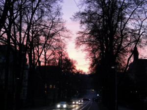 Foto: Ivana Freiwilligová