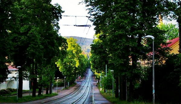 Foto: Ivana Freiwilligová