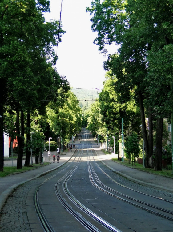 Foto: Ivana Freiwilligová