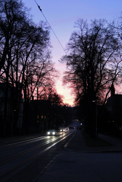 Foto: Ivana Freiwilligová