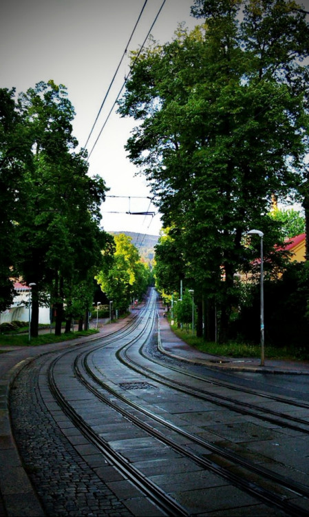 Foto: Ivana Freiwilligová