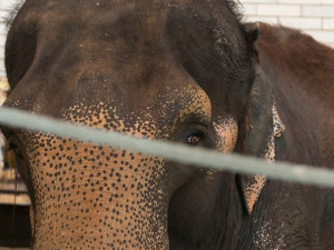 Prosluněná zoologická zahrada v Liberci
