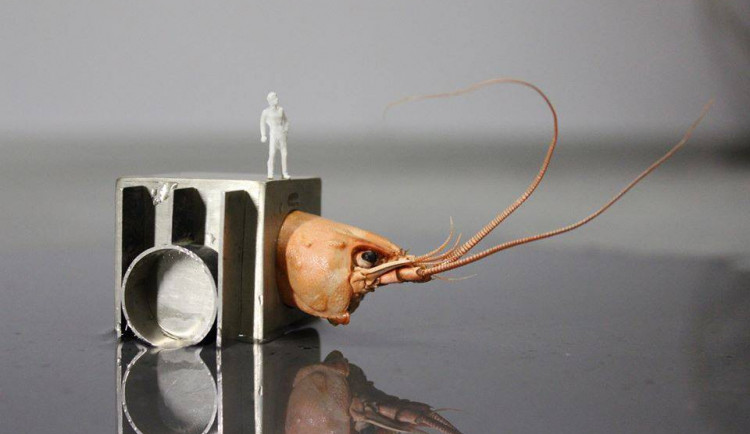 Ukázka obrazu pro dražbu