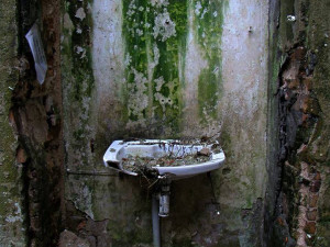 Ukázka obrazu pro dražbu