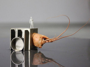 Ukázka obrazu pro dražbu