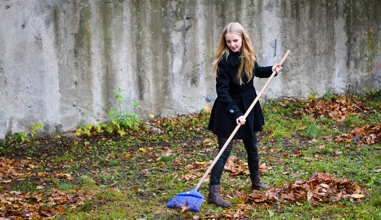 Studenti probouzejí park v Komenského ulici k životu