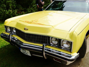 Setkání amerických automobilových veteránů na Sychrově