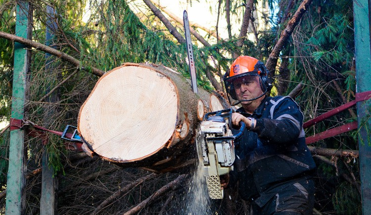 Vánoční strom už stojí na náměstí