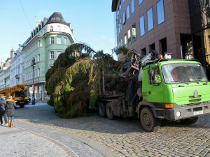 Vánoční strom už stojí na náměstí