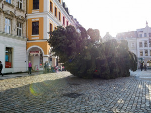 Vánoční strom už stojí na náměstí