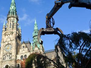 Vánoční strom už stojí na náměstí