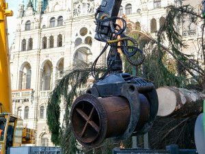 Vánoční strom už stojí na náměstí