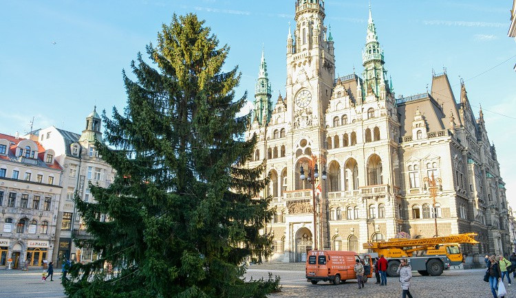 Vánoční strom už stojí na náměstí