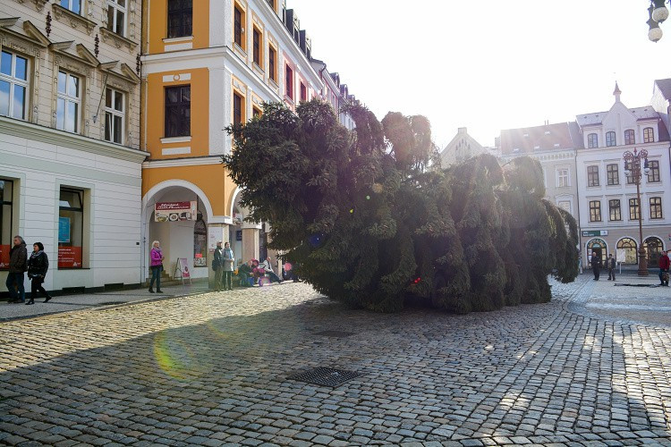 Vánoční strom už stojí na náměstí