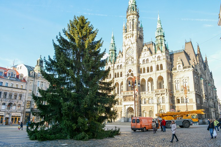 Vánoční strom už stojí na náměstí