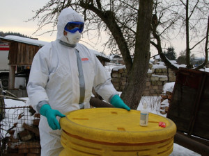 Likvidace chovu nakaženého ptačí chřipkou v Turnově