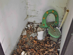 Lidé přišli na projednávání obnovy Lesního koupaliště