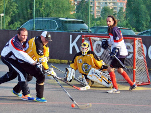 Hokejbalový titul mají Vosy