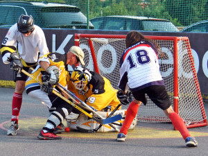 Hokejbalový titul mají Vosy