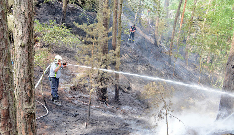 Požár lesa u obce Korce na Českolipsku