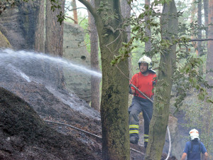 Požár lesa u obce Korce na Českolipsku