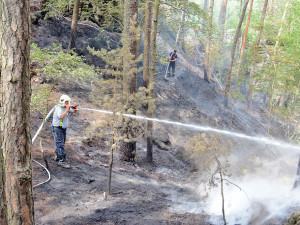 Požár lesa u obce Korce na Českolipsku