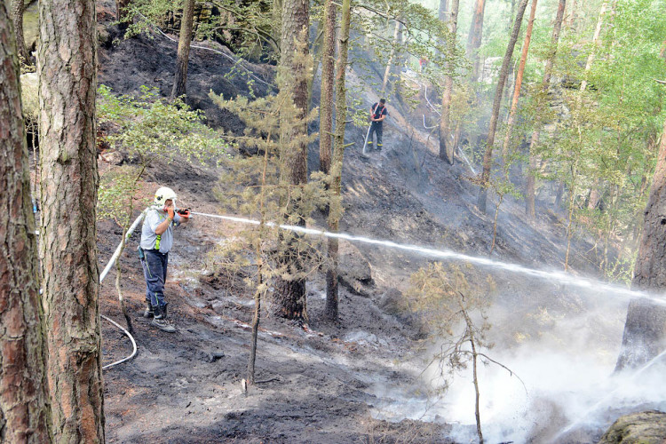 Požár lesa u obce Korce na Českolipsku
