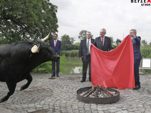 Miloš Zeman a koláže