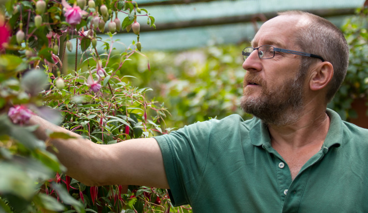 Fuchsie výstava Liberec 2018 Jiří Plachý