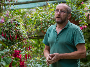 Fuchsie výstava Liberec 2018 Jiří Plachý